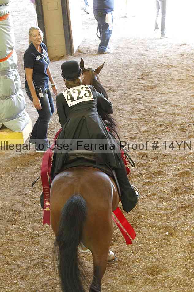 Proof 14yn_23226