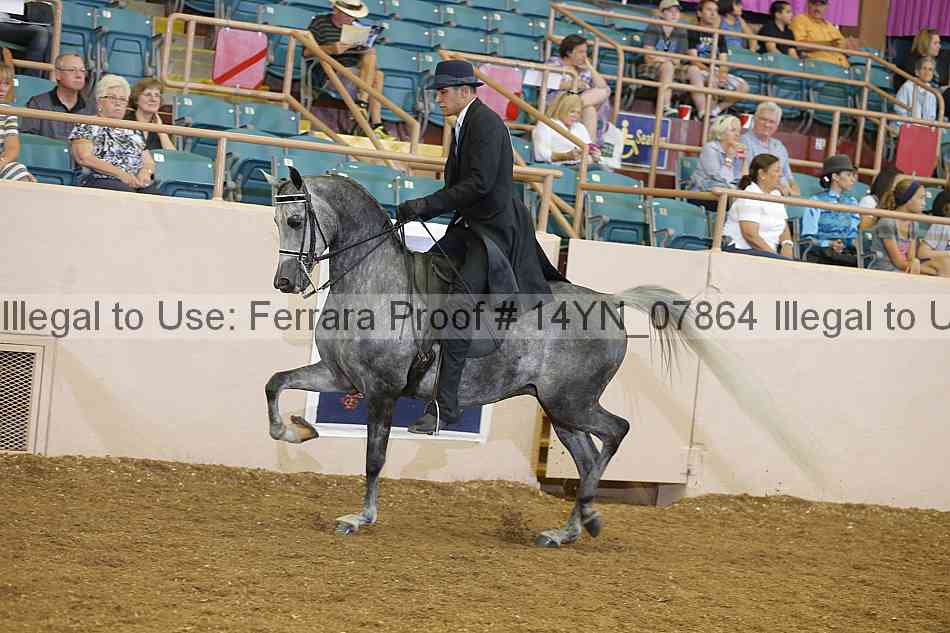 Proof 14yn_07864