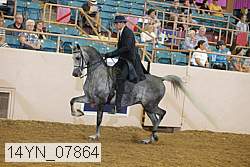 14yn_07864 proof