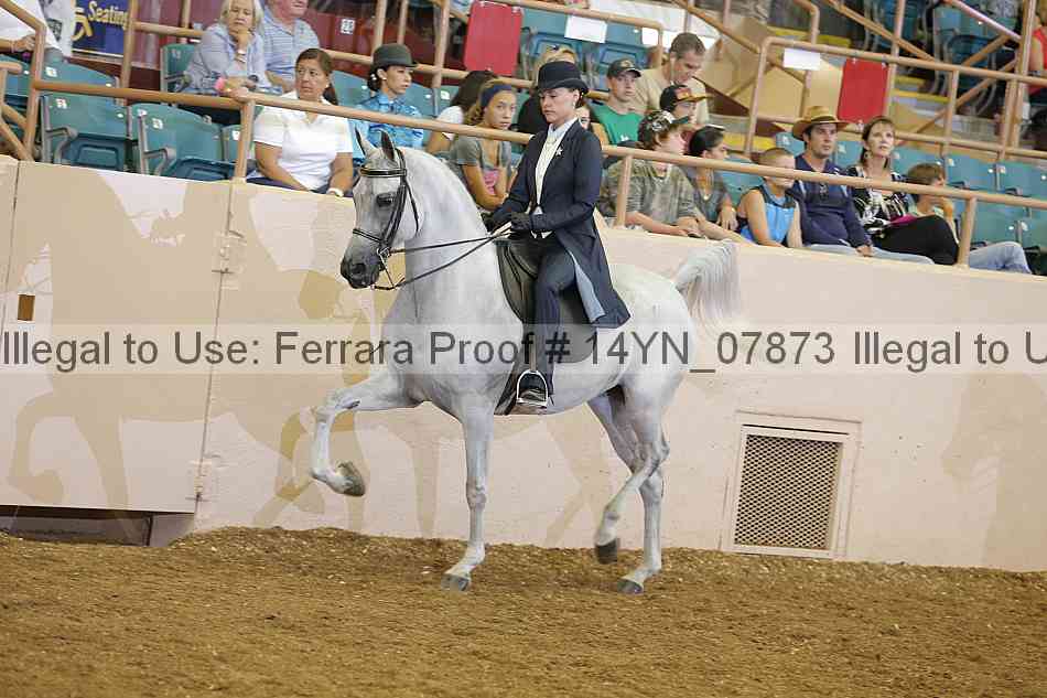 Proof 14yn_07873