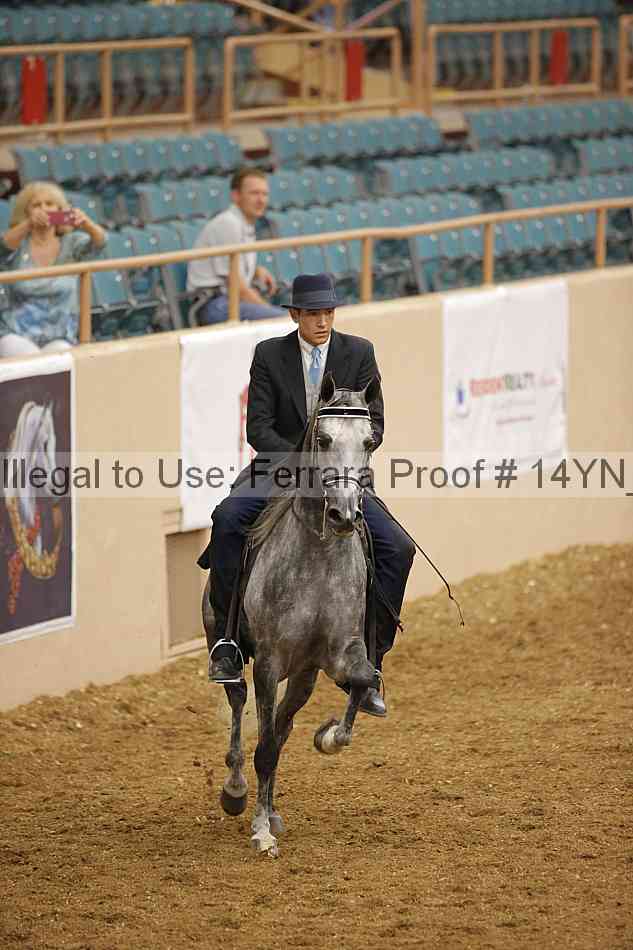 Proof 14yn_07875