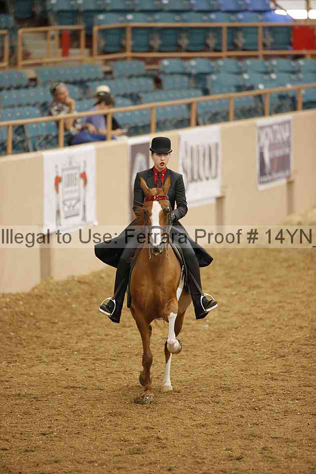Proof 14yn_07877