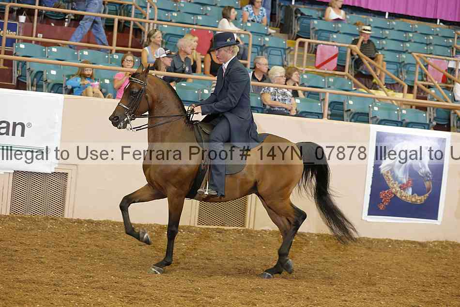 Proof 14yn_07878