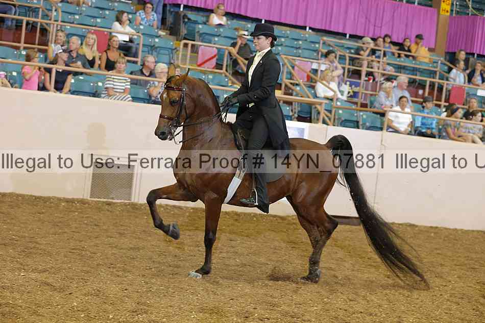 Proof 14yn_07881
