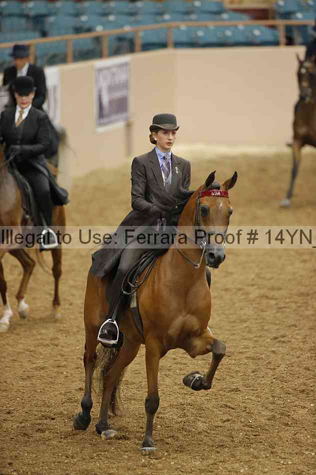 Proof 14yn_07885