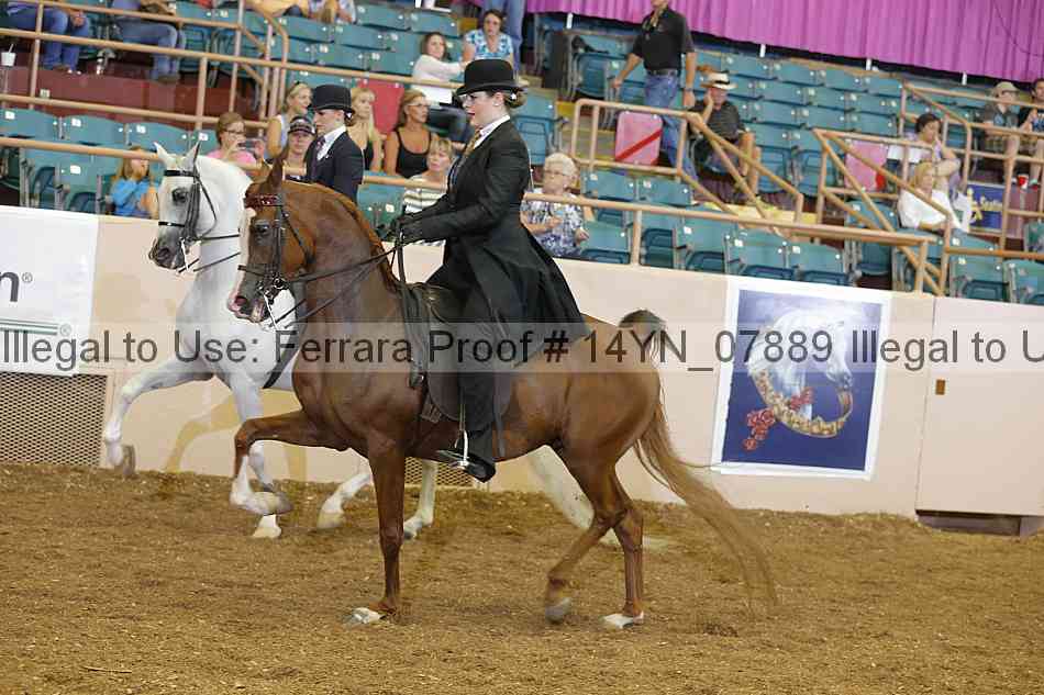 Proof 14yn_07889