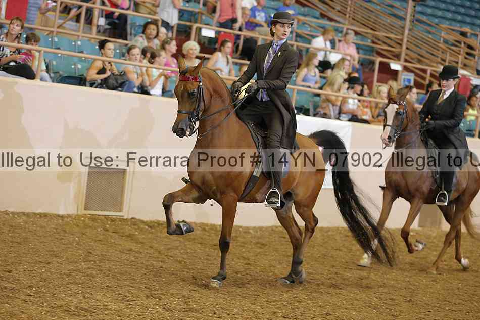 Proof 14yn_07902