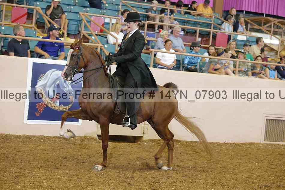 Proof 14yn_07903
