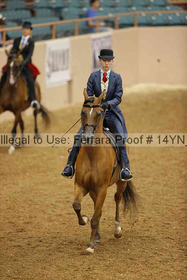 Proof 14yn_07904