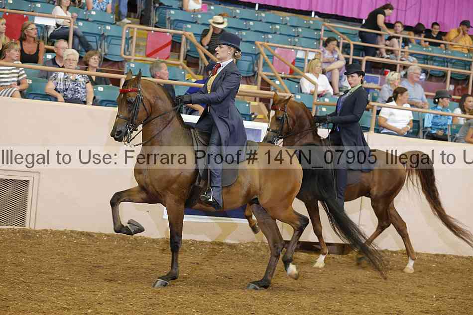 Proof 14yn_07905