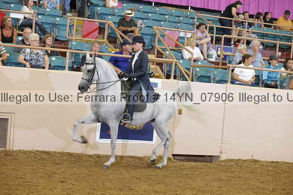 Proof 14yn_07906