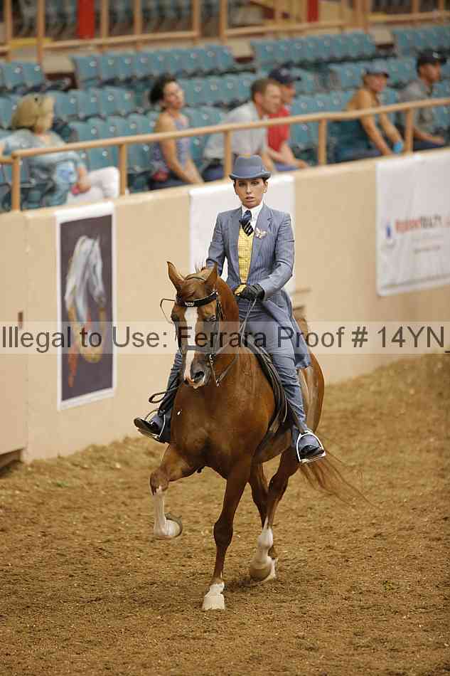 Proof 14yn_07907