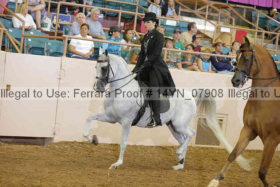 Proof 14yn_07908