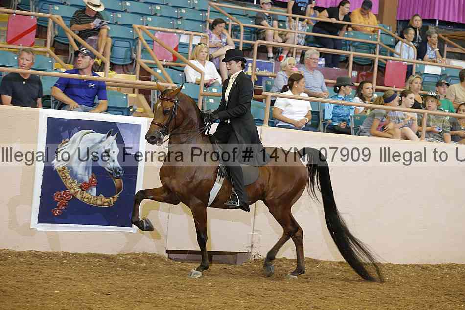 Proof 14yn_07909