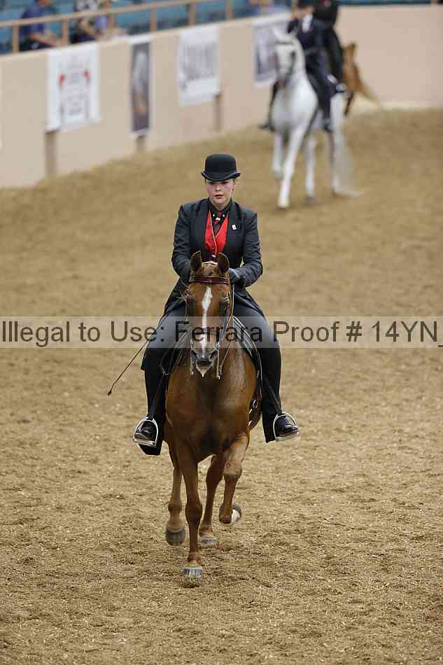 Proof 14yn_07910