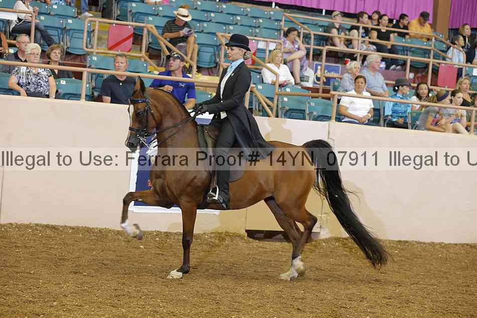 Proof 14yn_07911