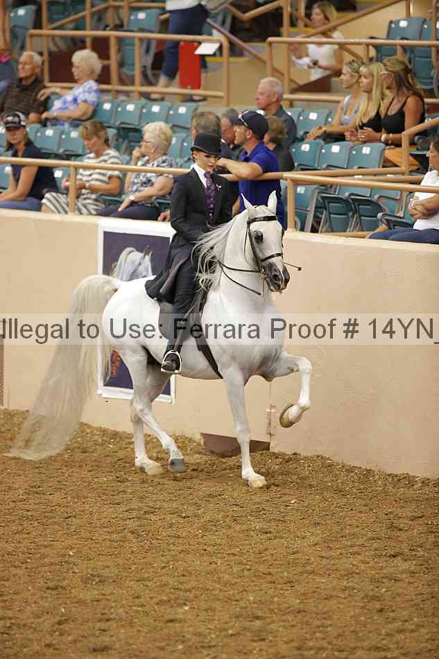Proof 14yn_07919