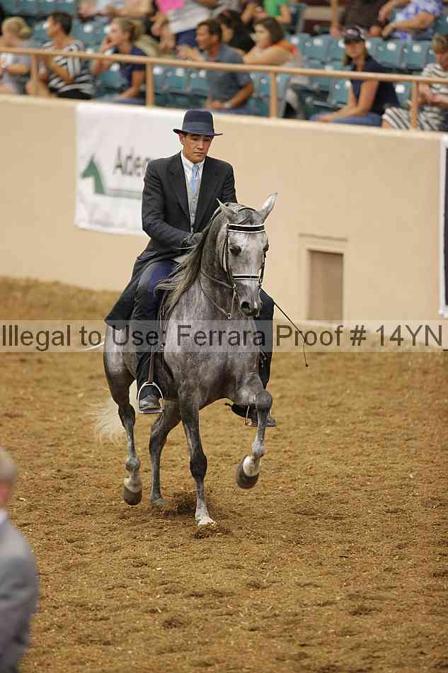 Proof 14yn_07921