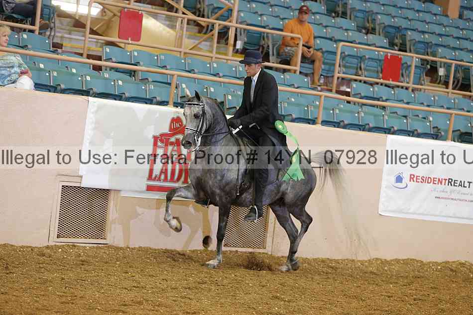 Proof 14yn_07928