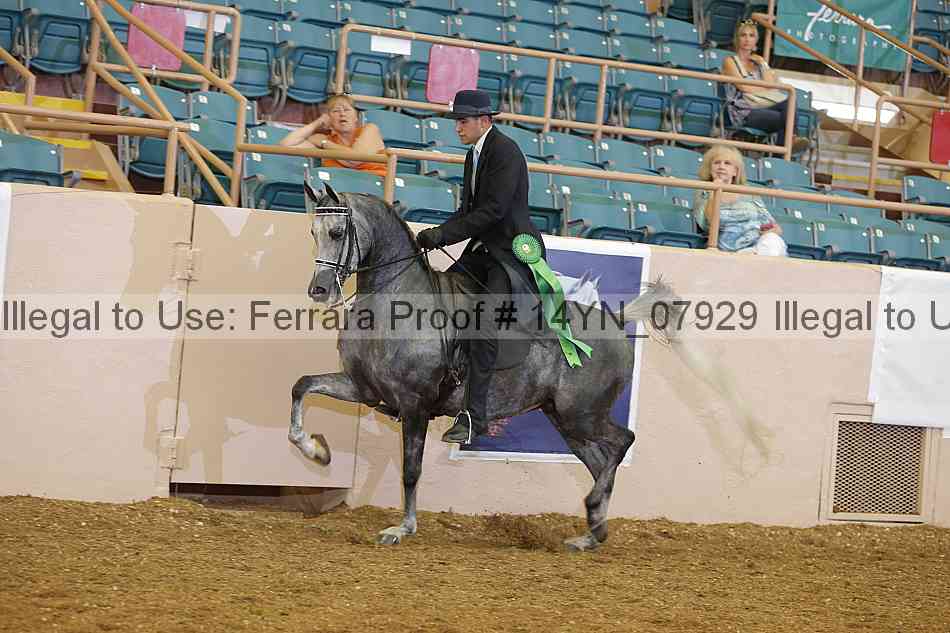 Proof 14yn_07929