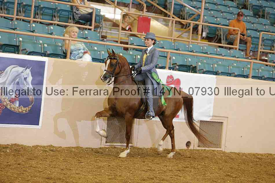 Proof 14yn_07930
