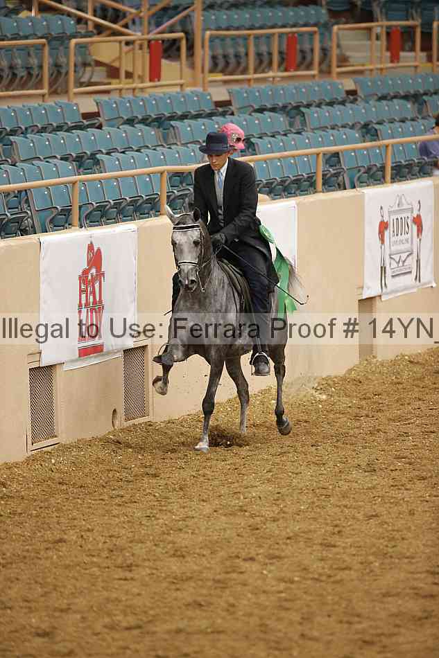 Proof 14yn_07931