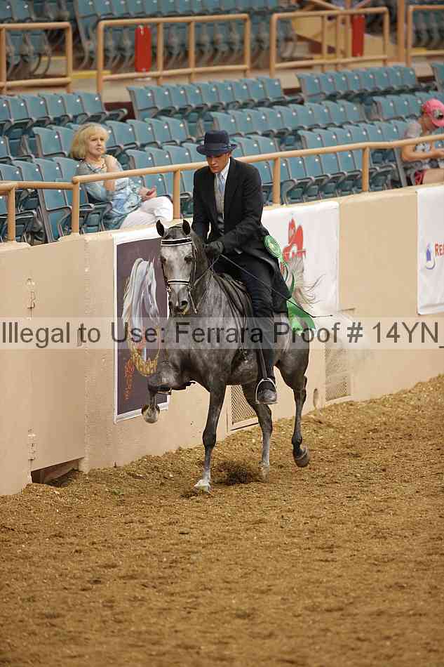 Proof 14yn_07933