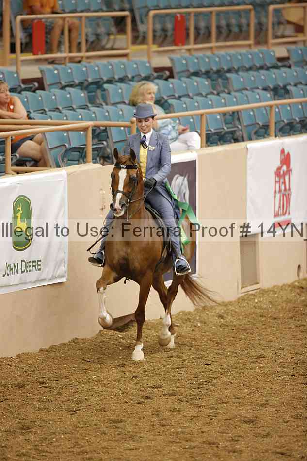 Proof 14yn_07934
