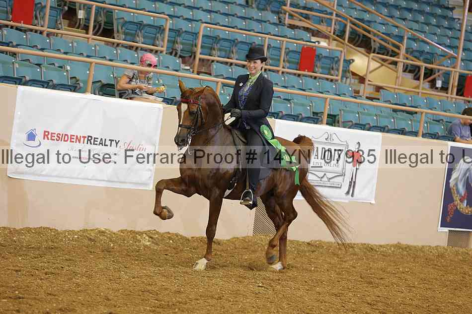 Proof 14yn_07935