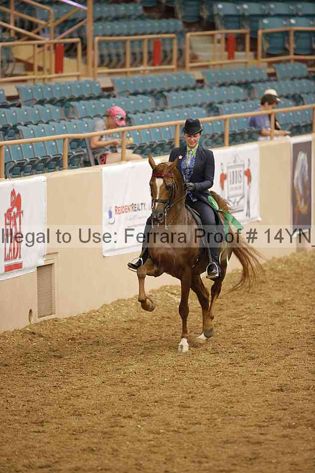 Proof 14yn_07937