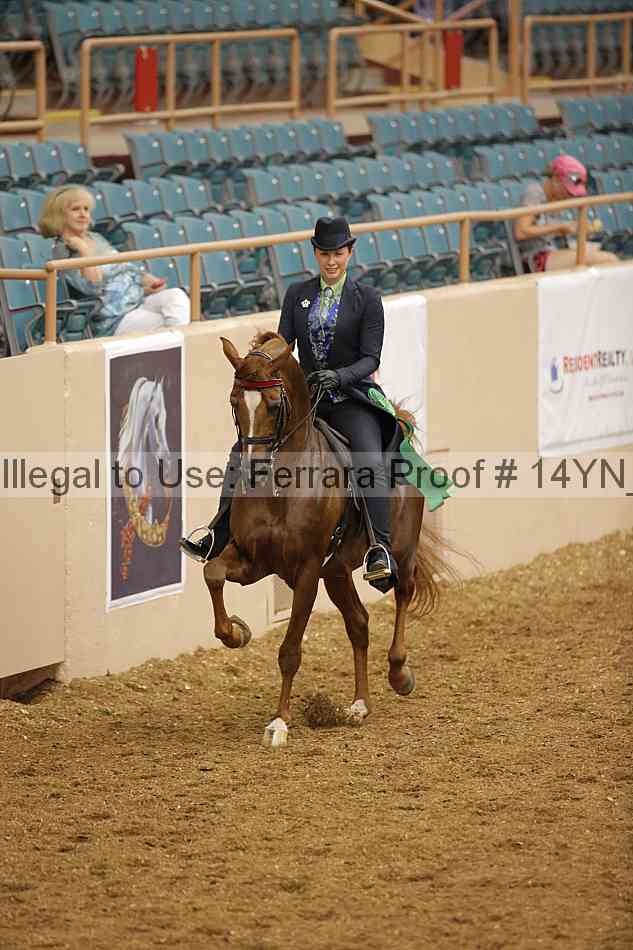 Proof 14yn_07938