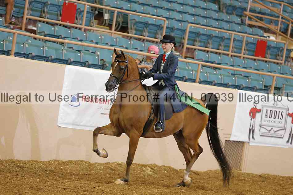 Proof 14yn_07939