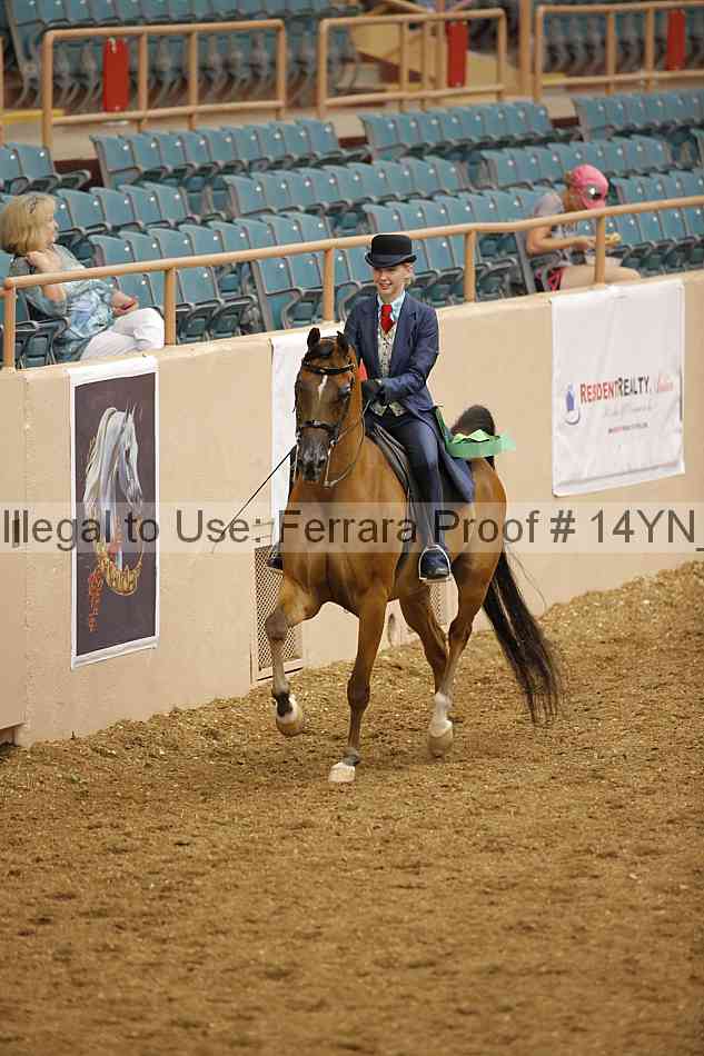 Proof 14yn_07941