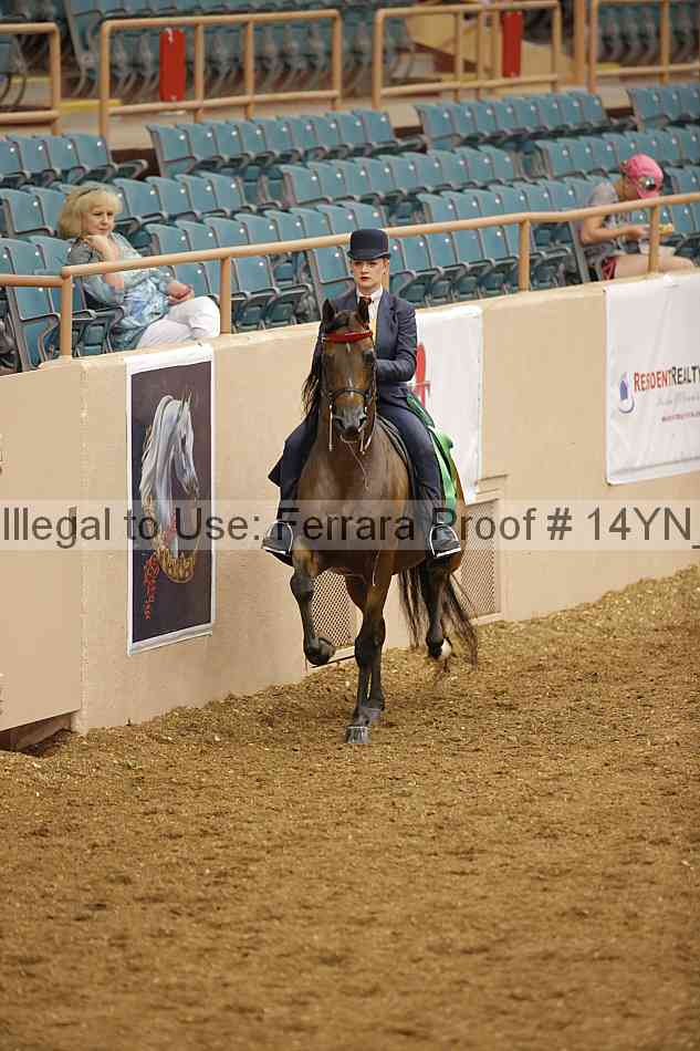 Proof 14yn_07947