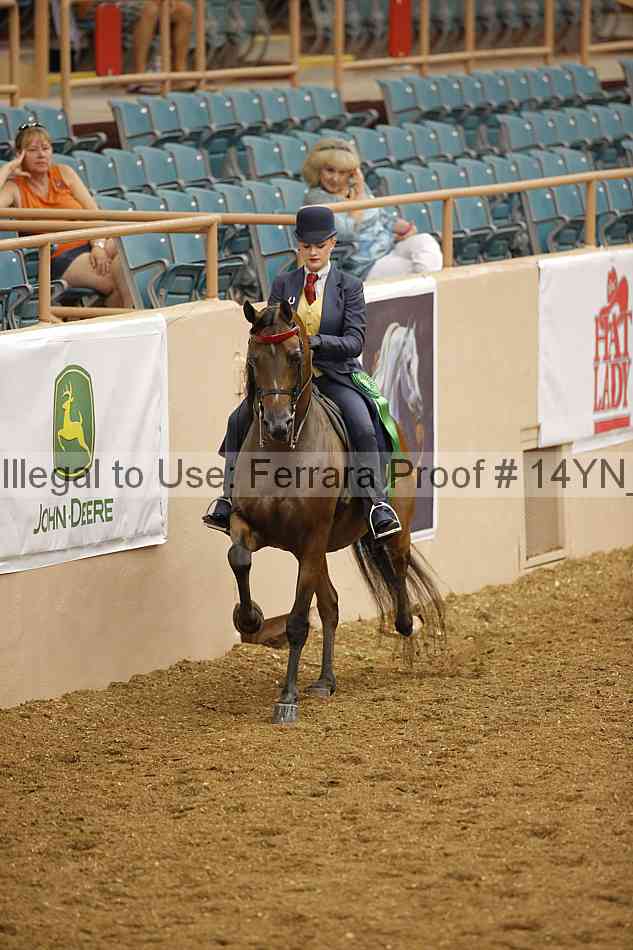 Proof 14yn_07948