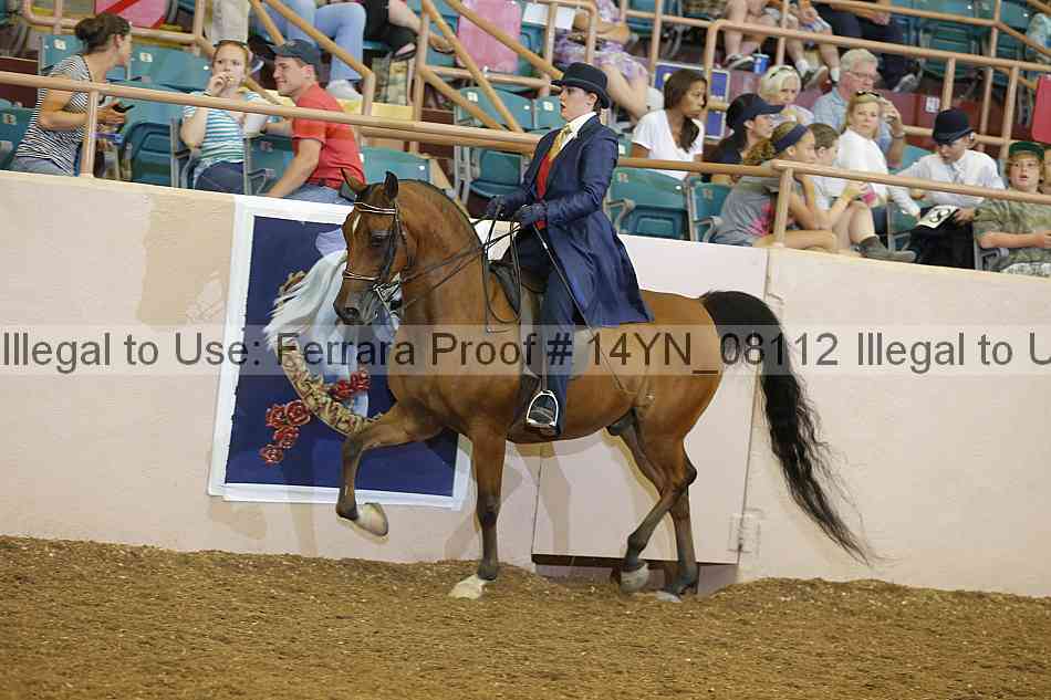 Proof 14yn_08112