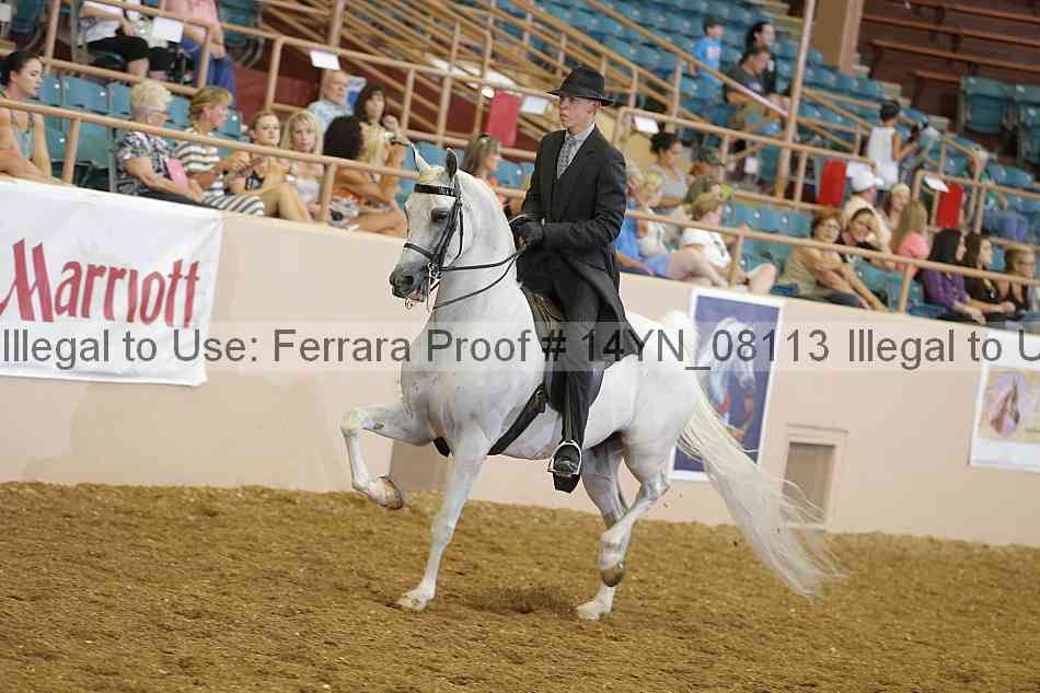 Proof 14yn_08113