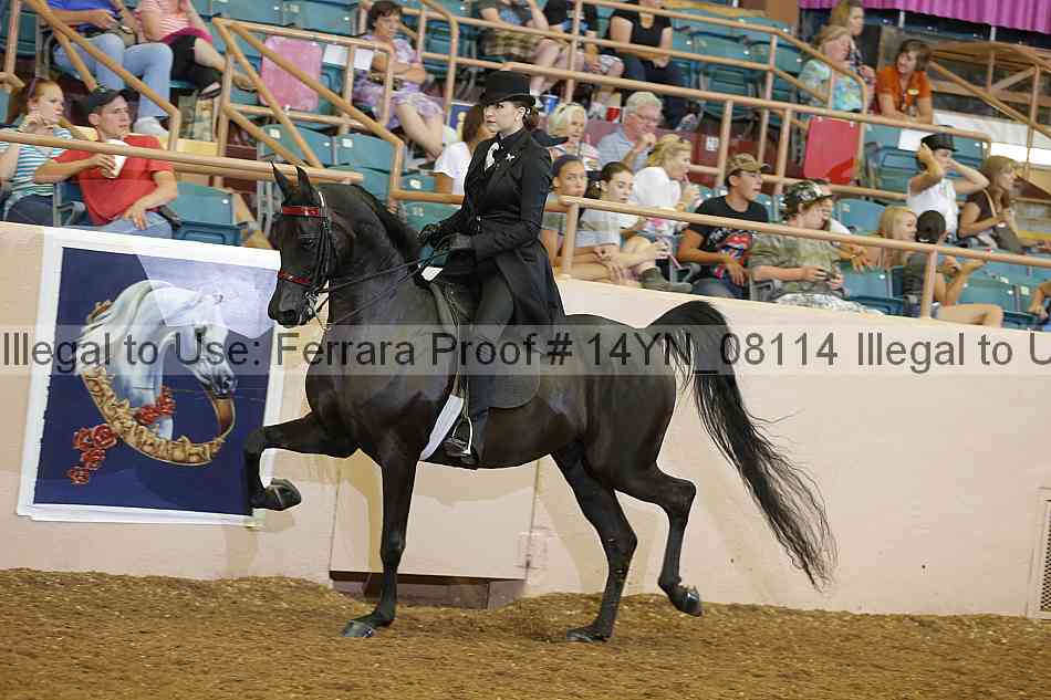 Proof 14yn_08114