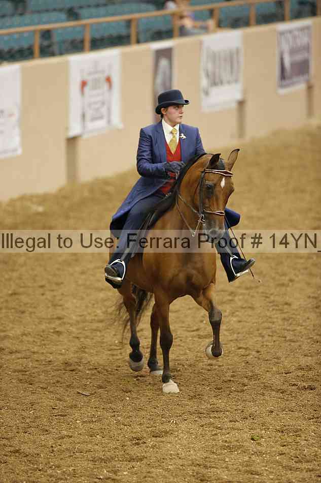 Proof 14yn_08115