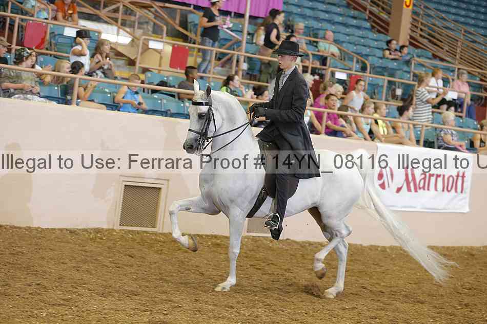 Proof 14yn_08116