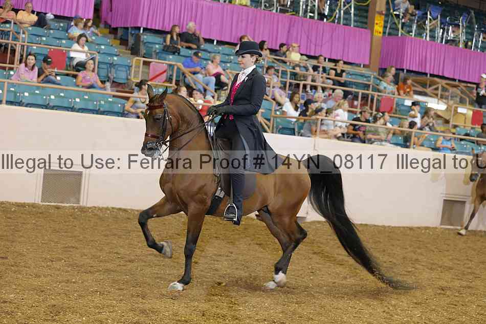 Proof 14yn_08117