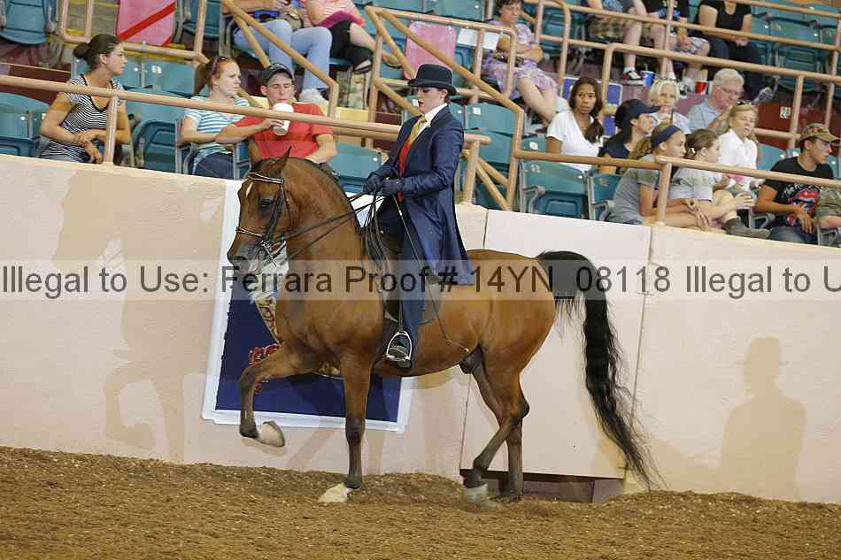Proof 14yn_08118
