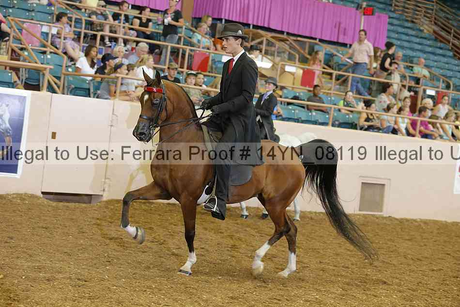 Proof 14yn_08119