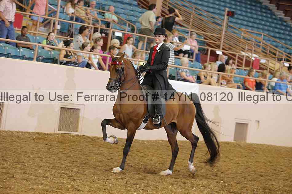 Proof 14yn_08120