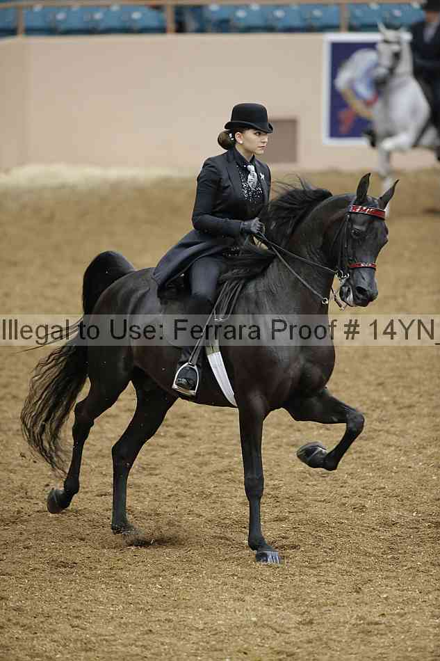 Proof 14yn_08124