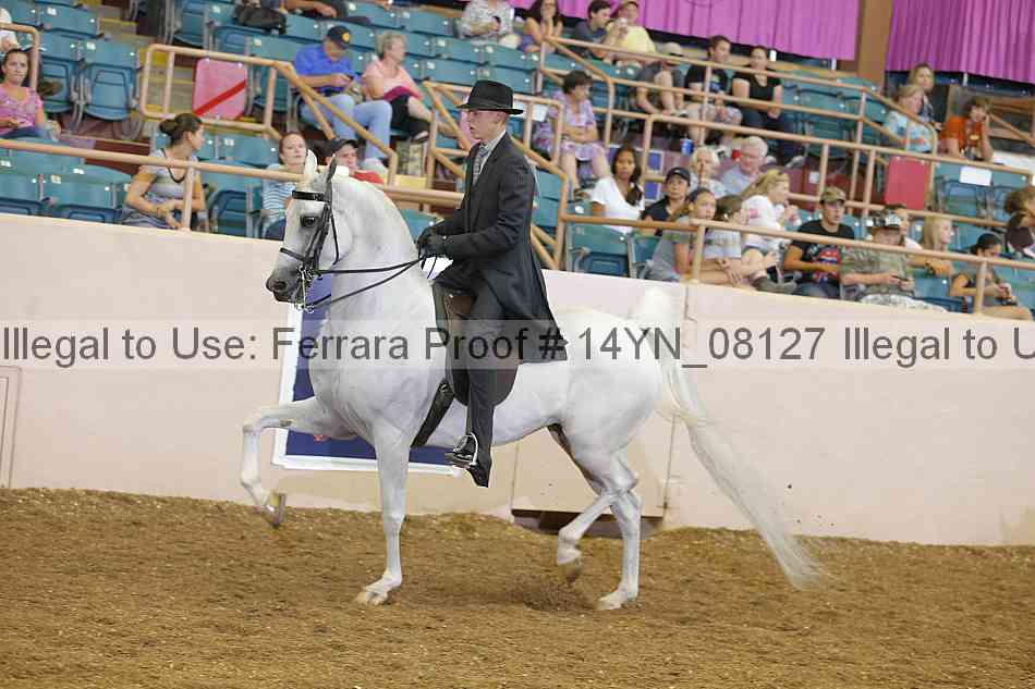 Proof 14yn_08127