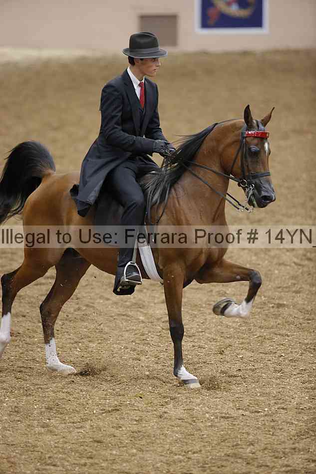 Proof 14yn_08128