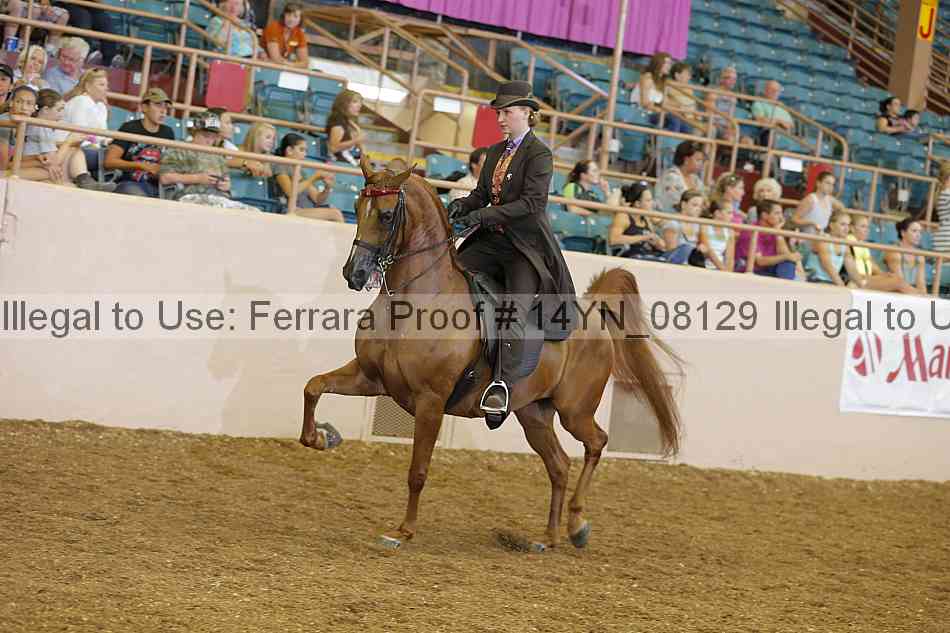 Proof 14yn_08129