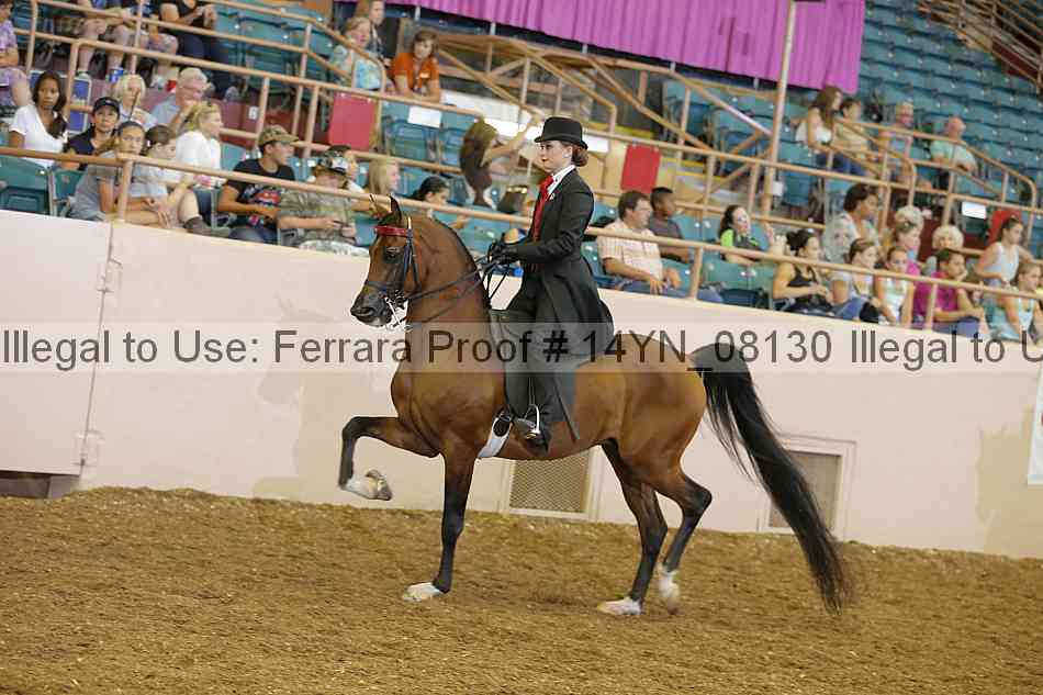 Proof 14yn_08130
