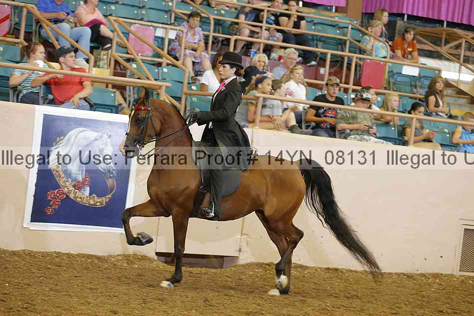 Proof 14yn_08131